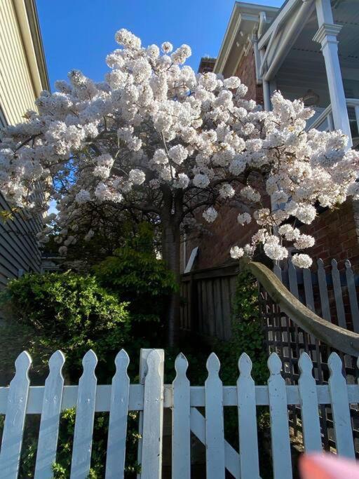 Charming Cottage Nestled In Prime Location Launceston Dış mekan fotoğraf
